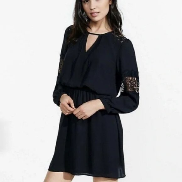 Express NWT Black Long Sleeve Chiffon Yoke Lace Inset Pleated Detail Dress - Picture 1 of 12